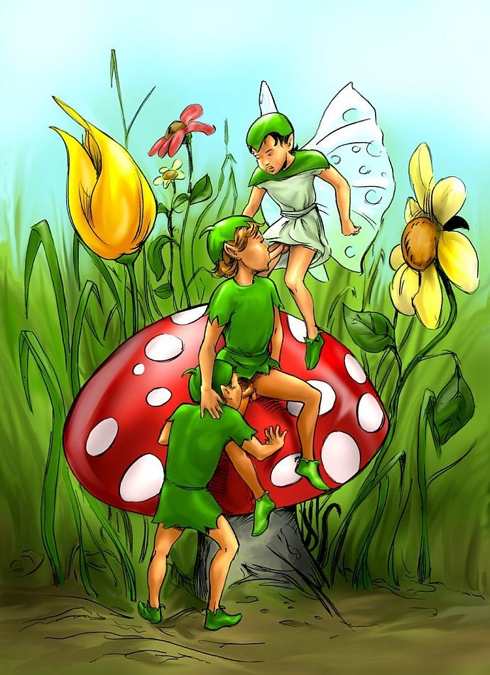 Illustration of A The Discontented Pixie